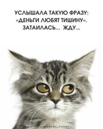 УСЛЫШАЛА ТАКУЮ ФРАЗУ: «ДЕНЬГИ ЛЮБЯТ ТИШИНУ», ЗАТАЙИЛАСЬ... ЖДУ...