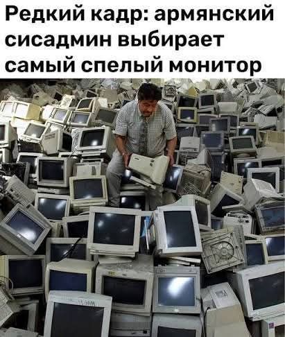 Редкий кадр: армянский сисадмин выбирает самый свежий монитор