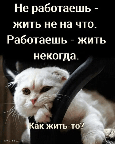 Не работаешь - жить не на что. Работать - жить некогда. Как жить-то?