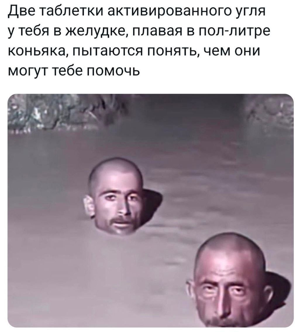 Две таблетки активированного угля у тебя в желудке, плавая в пол-литре коньяка, пытаются понять, чем они могут тебе помочь