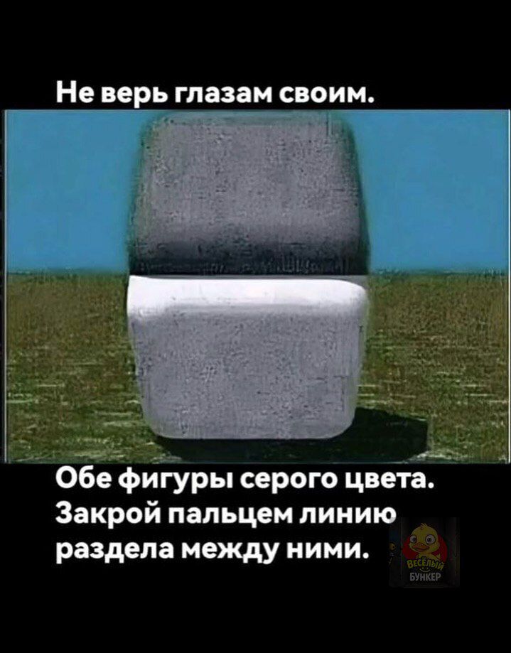 Не верь глазам своим. Оба фигуры серого цвета. Закрой пальцем линию раздела между ними.