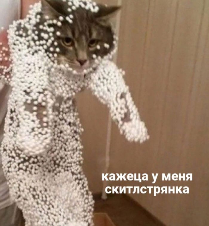кажеша у меня скилтстрянка