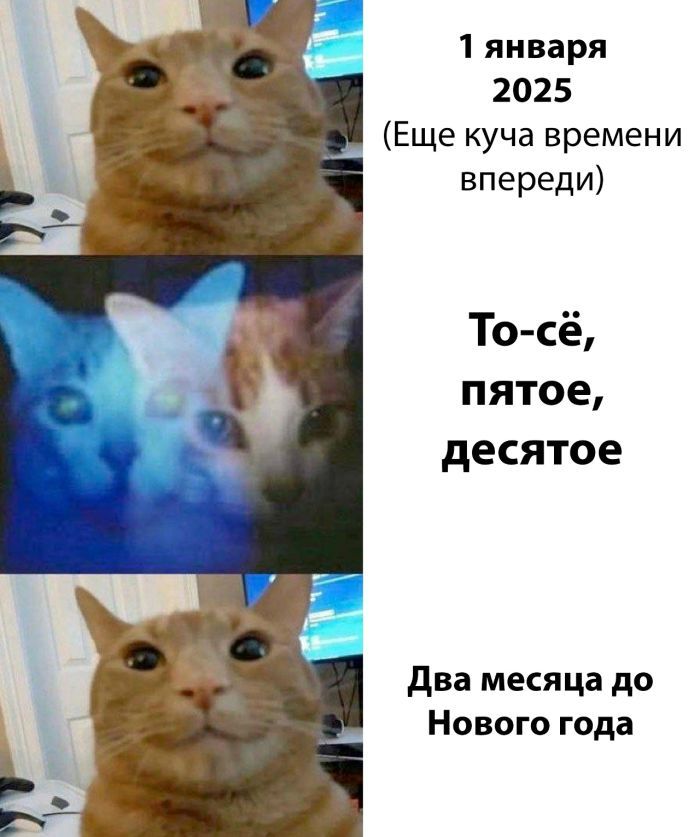 1 января 2025 (Ещё куча времени впереди) То-сё, пятое, десятое Два месяца до Нового года