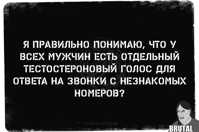 Я правильно понимаю, что у всех мужчин есть отдельный тестостероновый голос для ответа на звонки с незнакомых номеров?