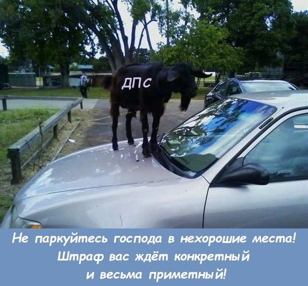 ДПС
Не паркуйтесь господа в нехорошие места! Штраф вас ждёт конкретный и весьма приметный!