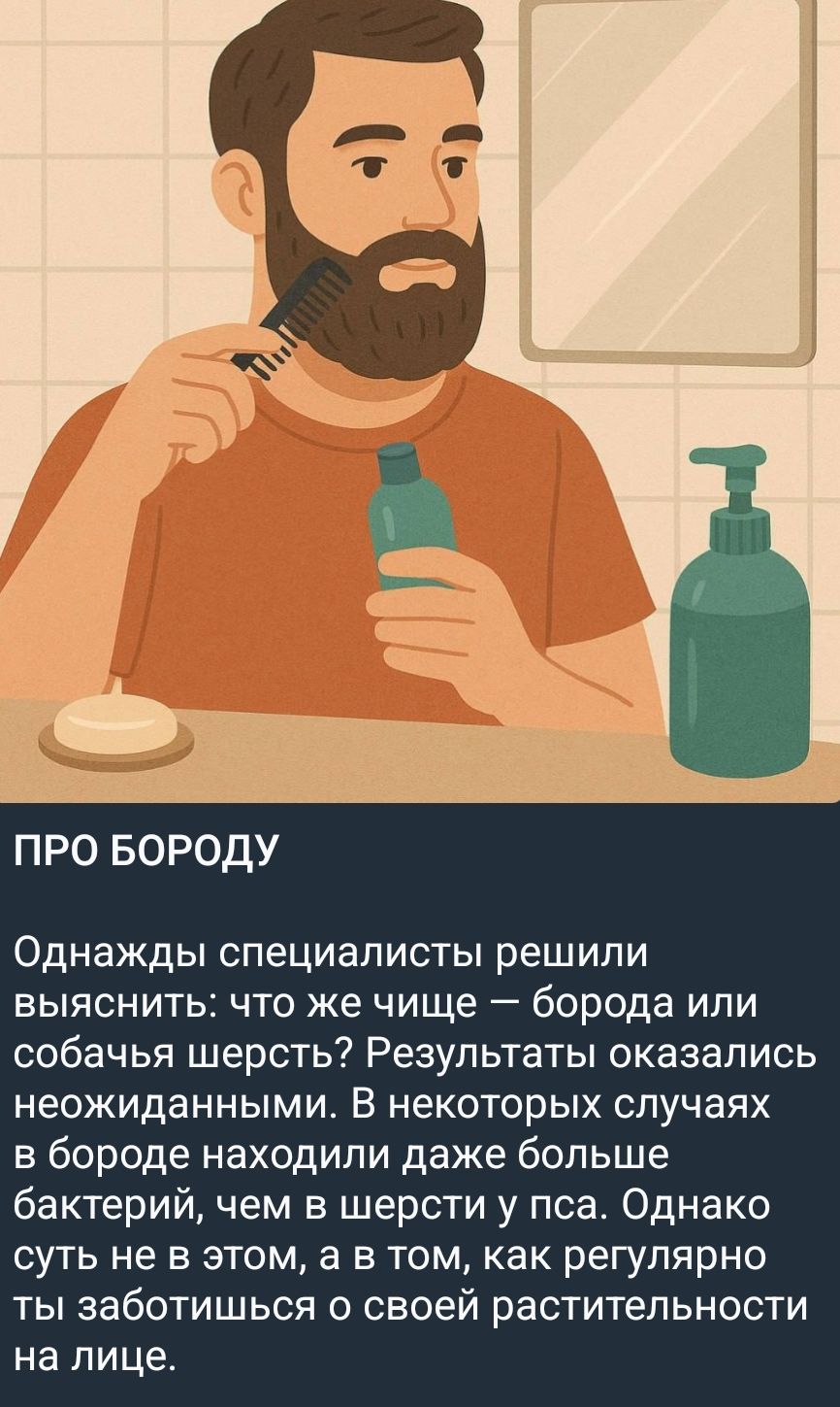 ПРО БОРОДУ

Однажды специалисты решили выяснять: что же чище — борода или собачья шерсть? Результаты оказались неожиданные. В некоторых случаях в бороде находили даже больше бактерий, чем в шерсти у пса. Однако суть не в этом, а в том, как регулярно ты заботишься о своей растительности на лице.