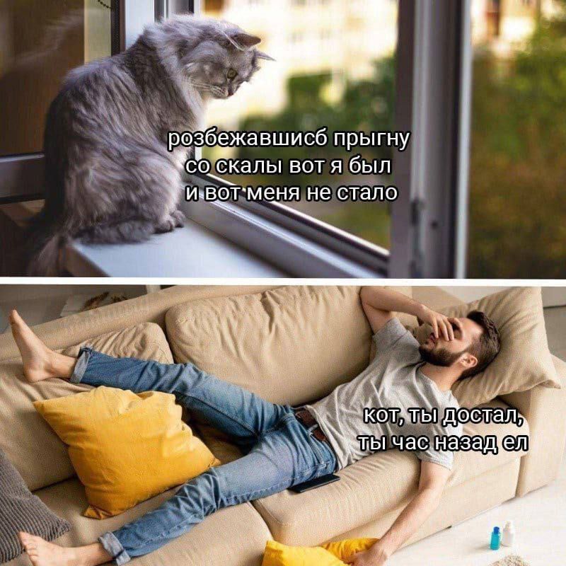 розбежавшись прыгну со скалы вот я был и вот меня не стало
кот, ты достал, ты час назад ел