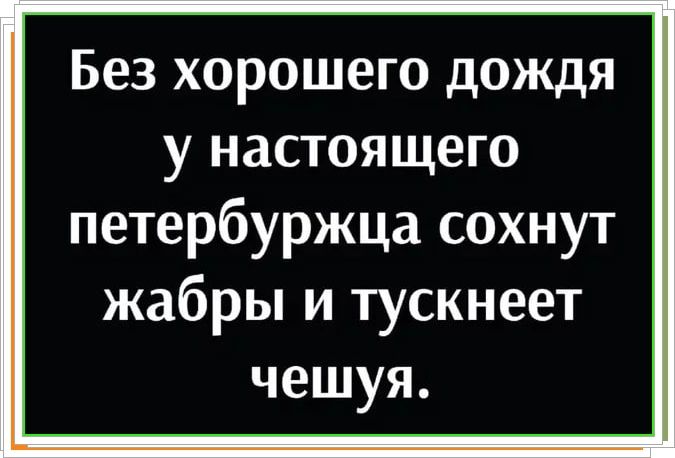 Без хорошего дождя у настоящего петербуржца сдохнут жабры и тускнеет чешуя.