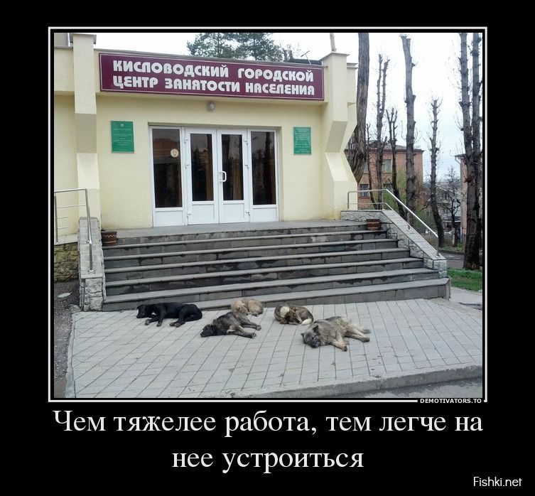 КИСЛОВОДСКИЙ ГОРОДСКОЙ ЦЕНТР ЗАНЯТОСТИ НАСЕЛЕНИЯ
Чем тяжелее работа, тем легче на нее устроиться