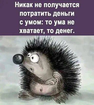 Никак не получается потратить деньги с умом: то ума не хватает, то денег.