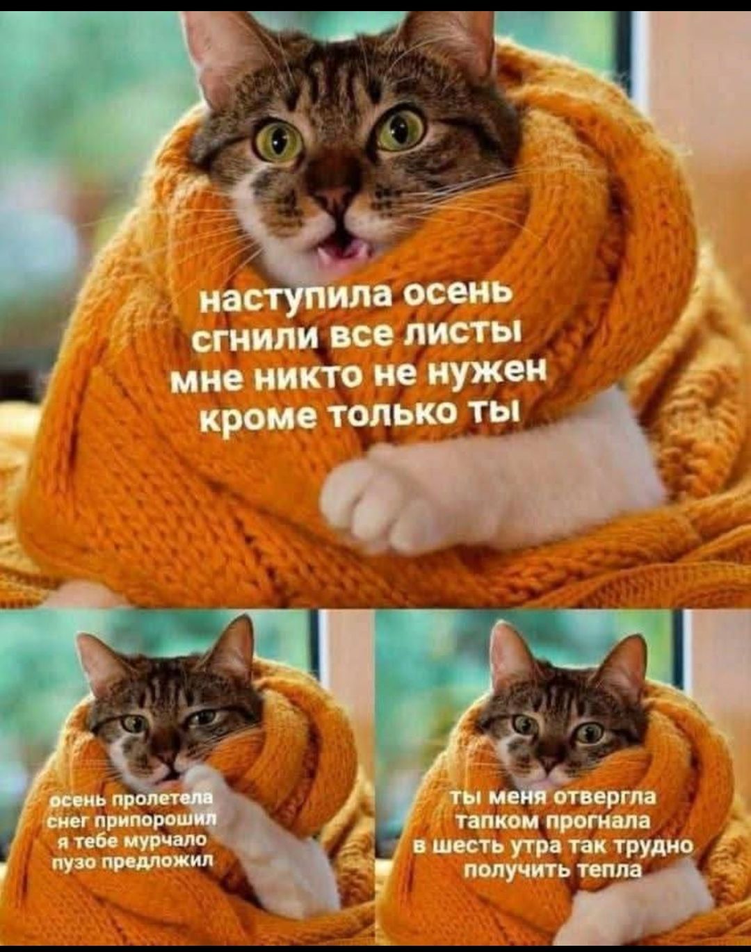 Наступила осень. сгнили все листья. Мне никто не нужен, кроме только ты. Осень прошла, снег прилетел, а тебе мурчало пузо предложил. Ты меня отвергла тапком, прогнала в шесть утра, так трудно получить тепло.