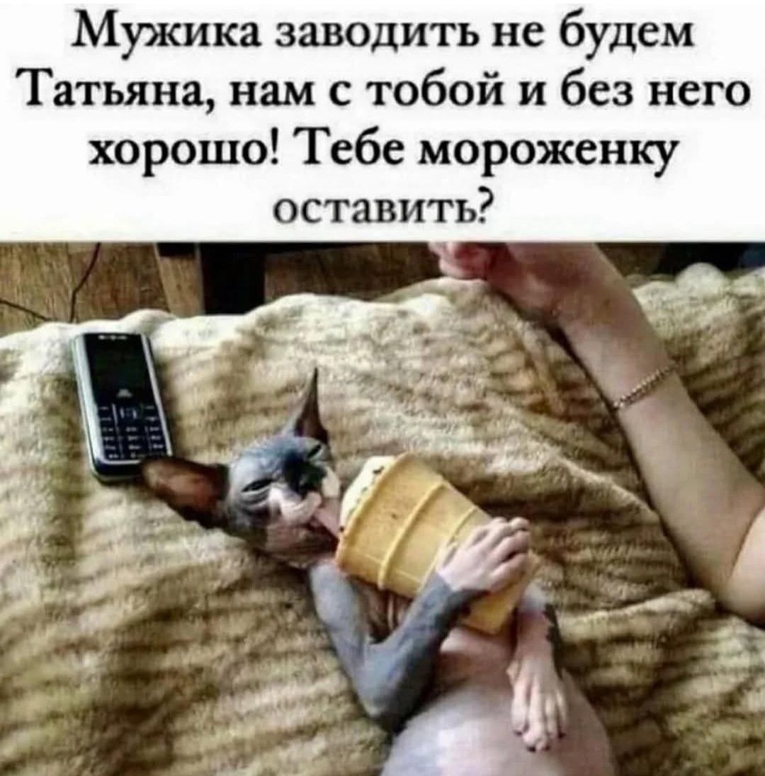 Мужика заводить не будем
Татьяна, нам с тобой и без него хорошо! Тебе мороженку оставить?