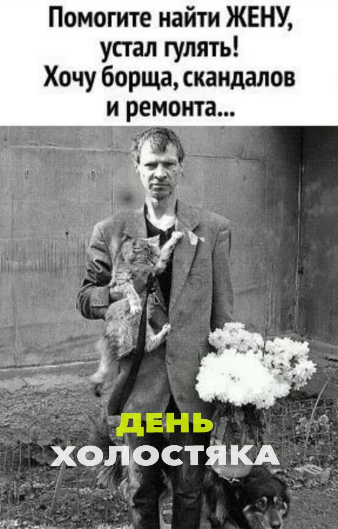 Помогите найти ЖЕНУ, устал гулять! Хочу борща, скандалов и ремонта...
ДЕНЬ ХОЛОСТЯКА