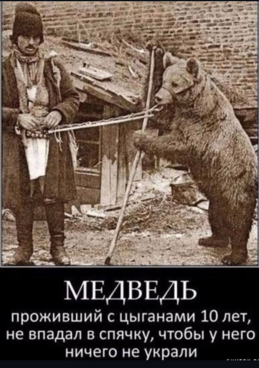 МЕДВЕДЬ проживший с циганами 10 лет, не впадал в спячку, чтобы у него ничего не украли