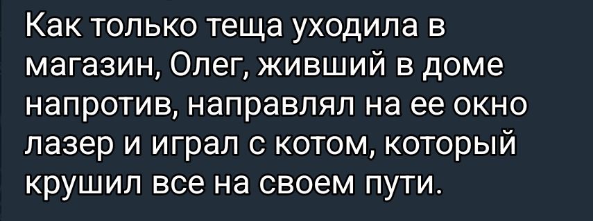 Как только теща уходила в магазин, Олег, живший в доме напротив, направлял на ее окно лазер и играл с котом, который крушил все на своем пути.