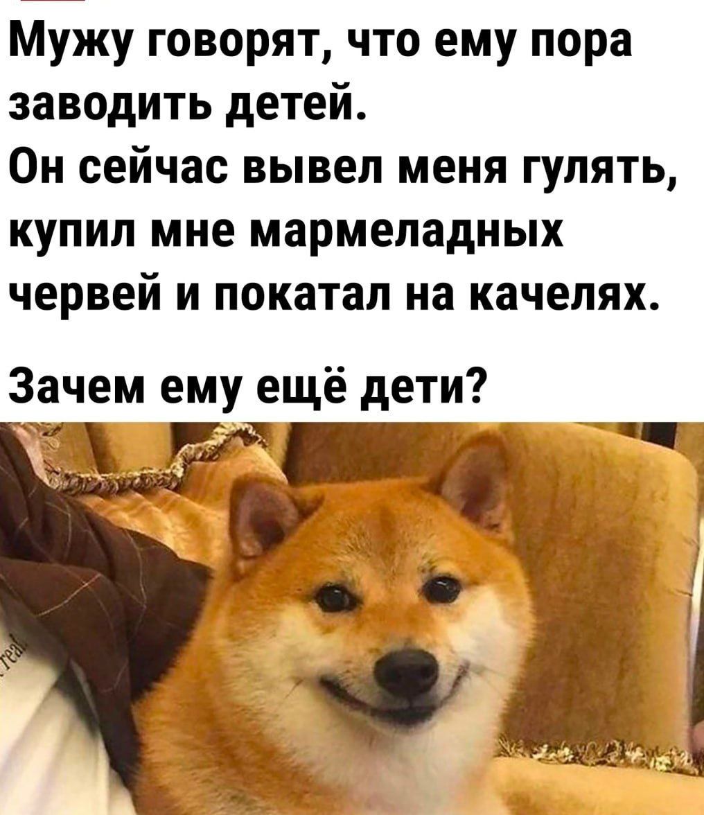Мужу говорят, что ему пора заводить детей. Он сейчас вывел меня гулять, купил мне мармеладных червей и покатал на качелях. Зачем ему ещё дети?
