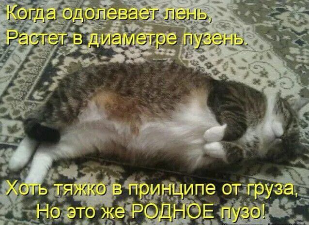 Когда одолевает лень,
Растет в диаметре пузень.
Хоть тяжко в принципе от груза,
Но это же РОДНОЕ пузо!