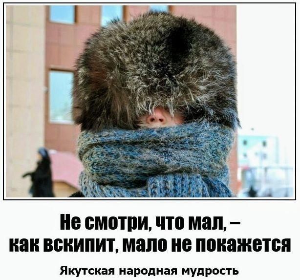 Не смотри, что мал, – как вскипит, мало не покажется
Якутская народная мудрость