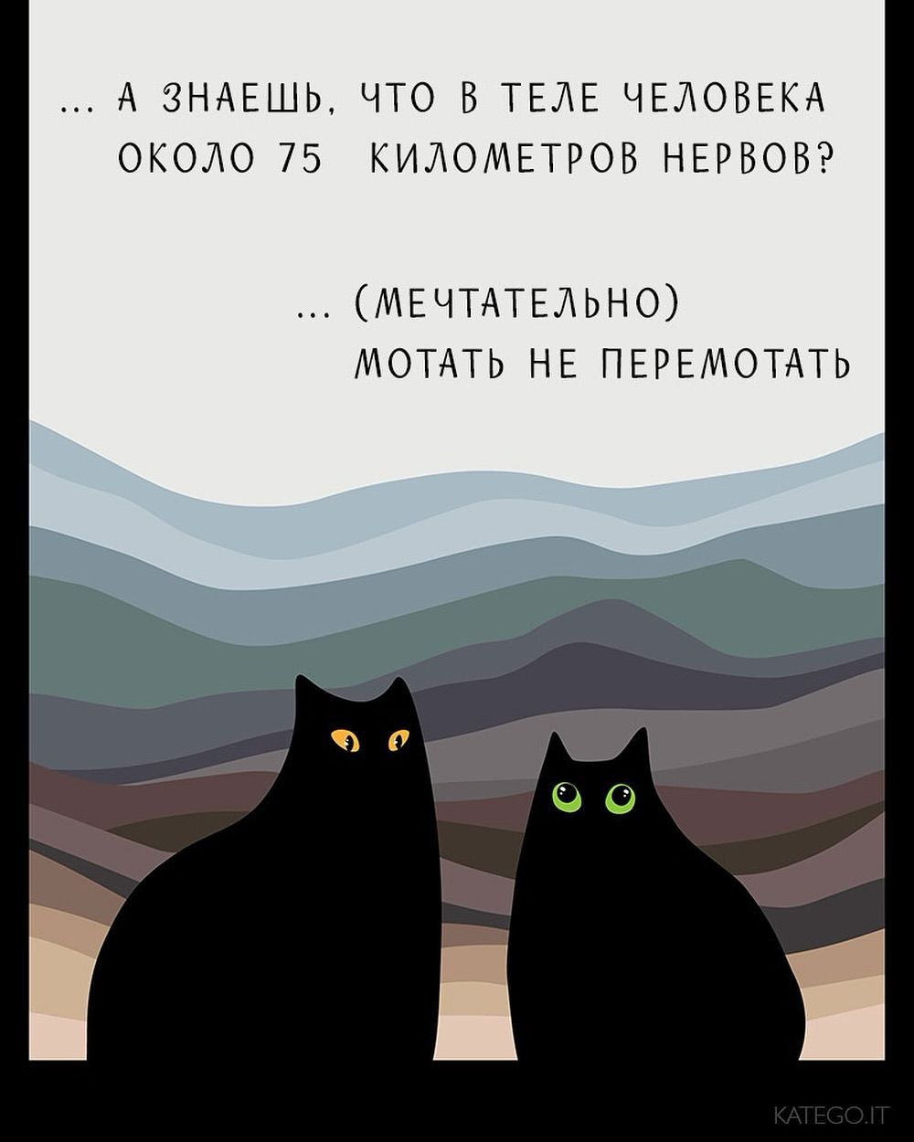 ... А знаешь, что в теле человека около 75 километров нервов? ... (мечтательно) мотать не перемотать
