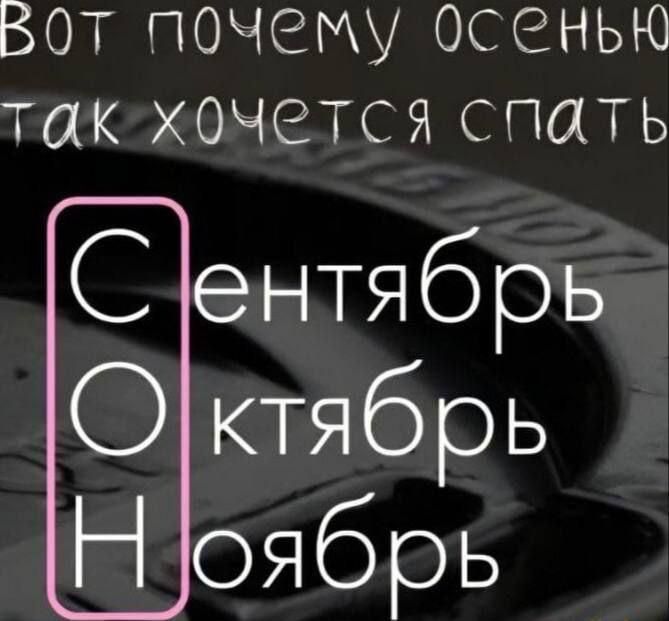 Вот почему осенью так хочется спать
Сентябрь
Октябрь
Ноябрь