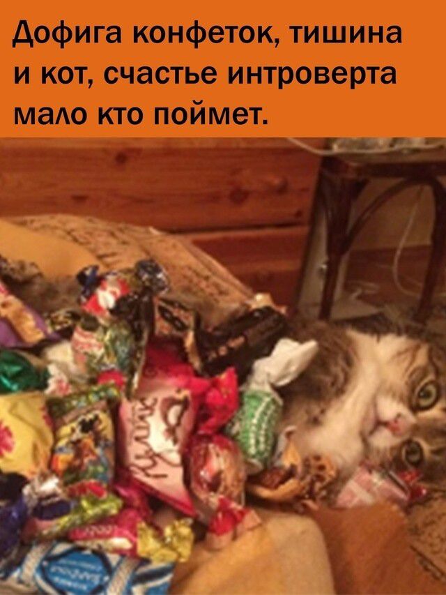 Дофига конфеток, тишина и кот, счастье интроверта мало кто поймет.
