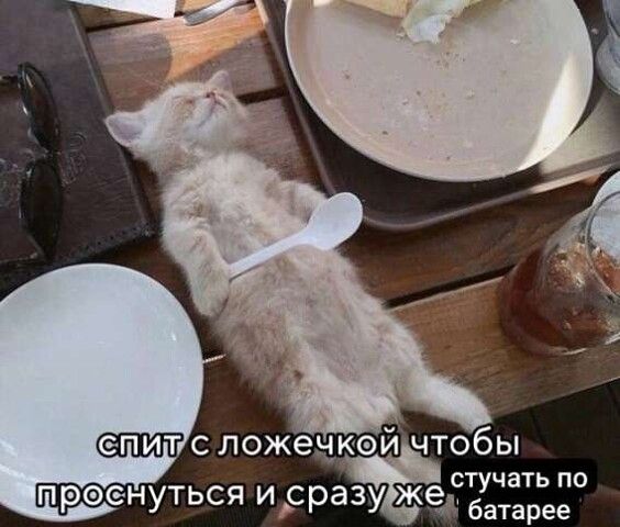 СПИТ с ложечкой чтобы проснуться и сразу же стучать по батарее