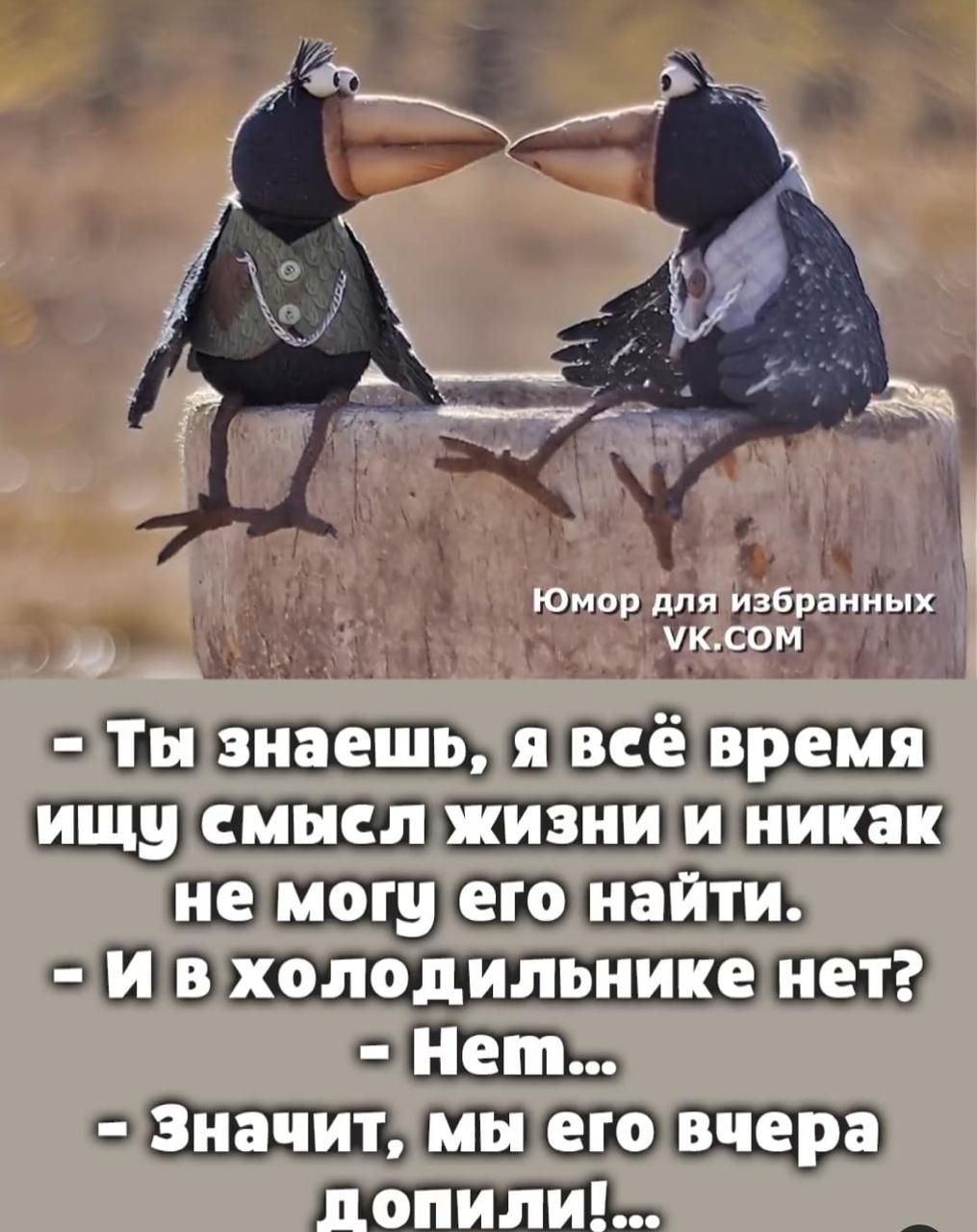 - Ты знаешь, я всё время ищу смысл жизни и никак не могу его найти. - И в холодильнике нет? - Нет... - Значит, мы его вчера допили!