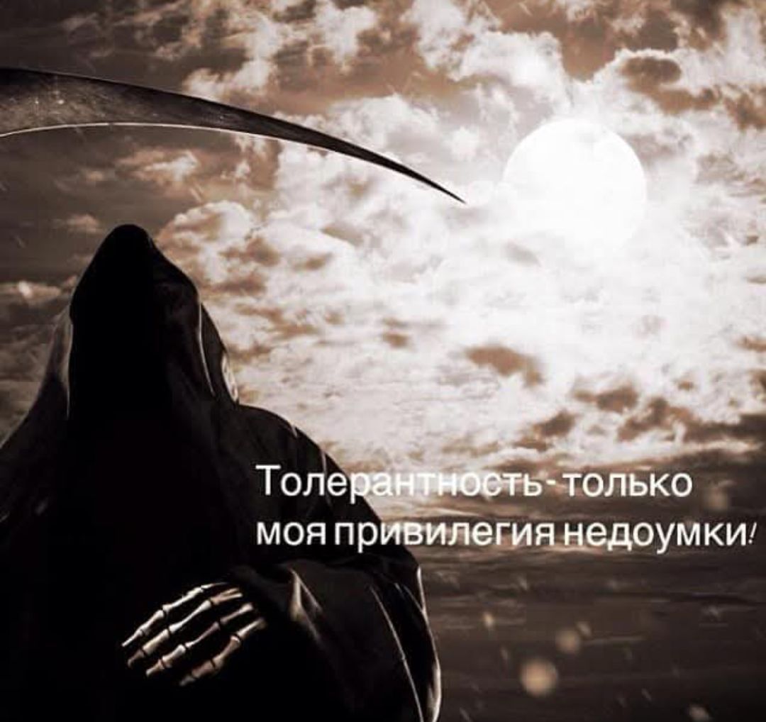 Толерантность - только моя привилегия недоумки!