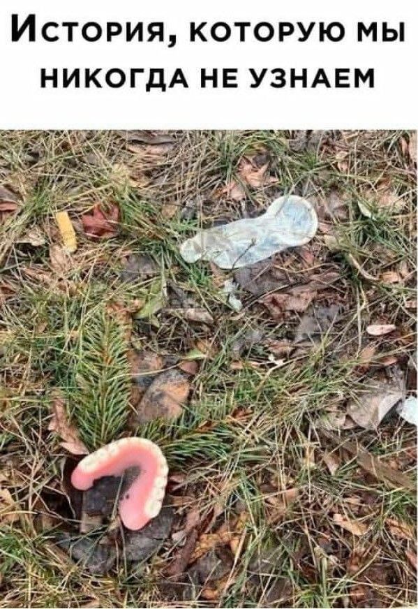 История, которую мы никогда не узнаем