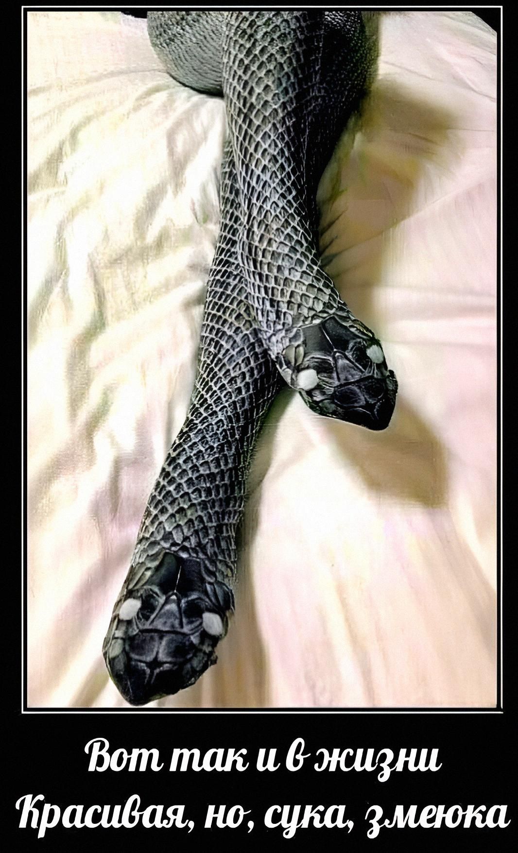 Вот так и в жизни. Красивaя, но, сука, змеюка