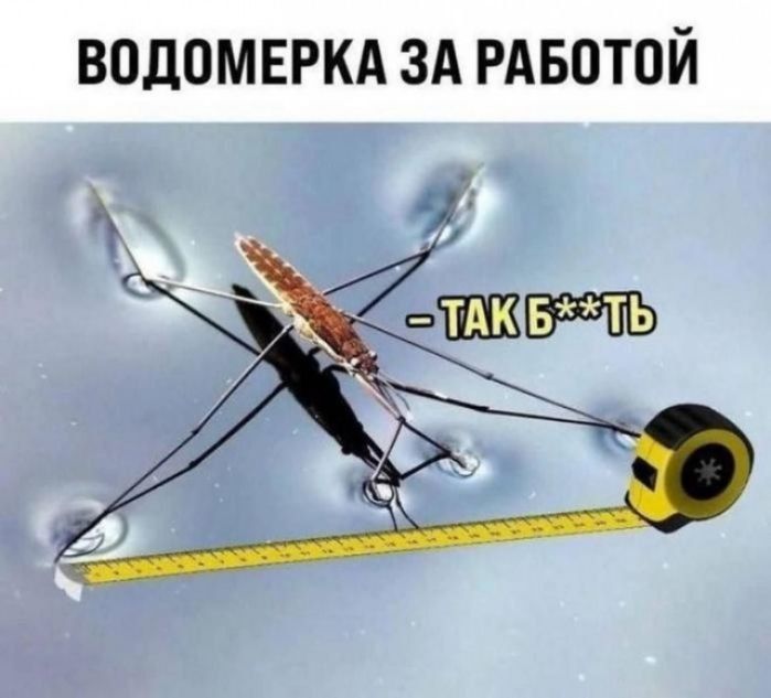 ВОДОМЕРКА ЗА РАБОТОЙ
- ТАК Б***ТЬ