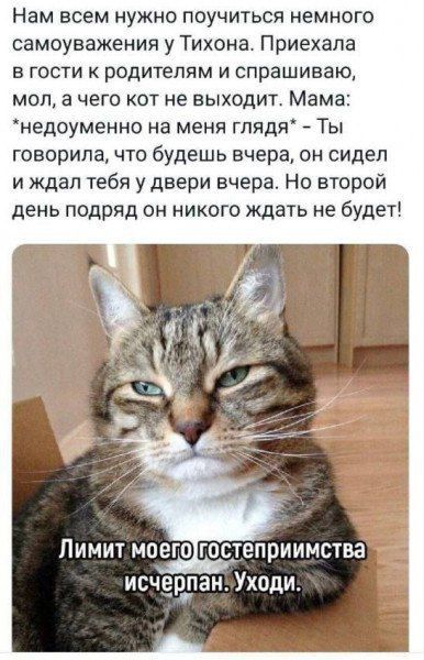 Нам всем нужно поучиться немного самоуважения у Тихона. Приехала в гости к родителям и спрашиваю, мол, а чего кот не выходит. Мама: *недоуменно на меня глядя* - Ты говорила, что будешь вчера, он сидел и ждал тебя у двери вчера. Но второй день подряд он никого ждать не будет!

Лимит моего гостеприимства исчерпан. Уходи.
