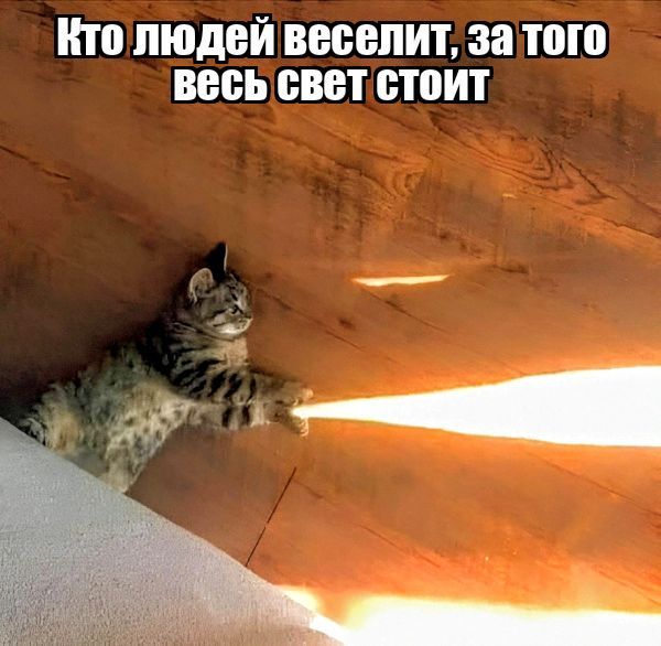 Кто людей веселит, за того весь свет стоит