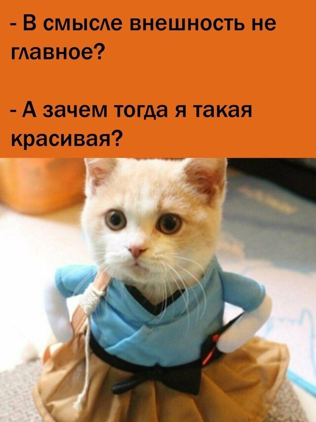- В смысле внешность не главное? - А зачем тогда я такая красивая?