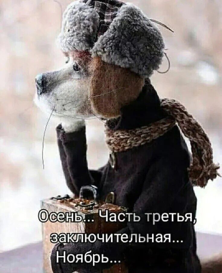 Осень... Часть третья, заключительная... Ноябрь...