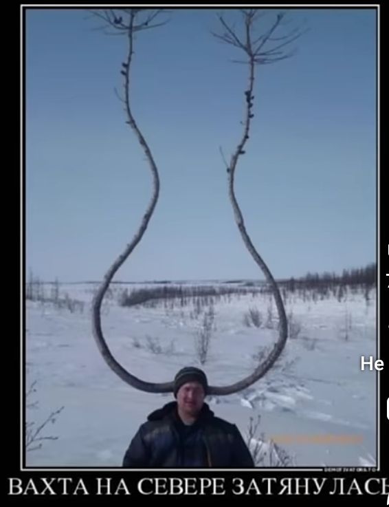 ВАХТА НА СЕВЕРЕ ЗАТЯНУЛАСЬ