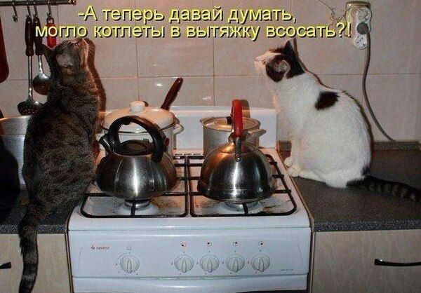 - А теперь давай думать, могли котлеты в вытяжку всосать?!