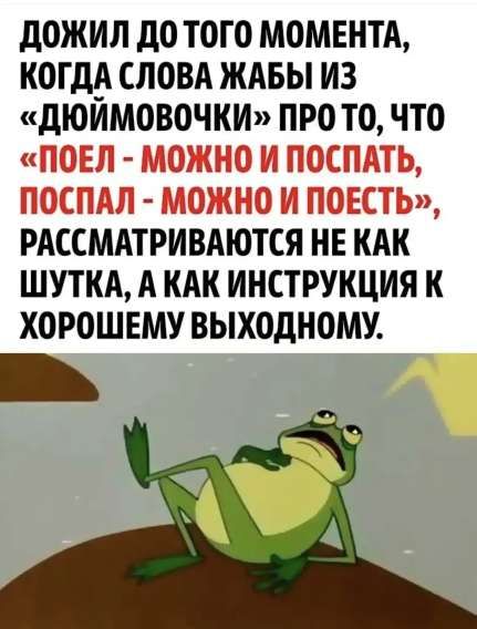ДОЖИЛ ДО ТОГО МОМЕНТА, КОГДА СЛОВА ЖАБЫ ИЗ «ДЮЙМОВОЧКИ» ПРО ТО, ЧТО «ПОЕЛ - МОЖНО И ПОСПАТЬ, ПОСПАЛ - МОЖНО И ПОЕСТЬ», РАССМАТРИВАЮТСЯ НЕ КАК ШУТКА, А КАК ИНСТРУКЦИЯ К ХОРОШЕМУ ВЫХОДНОМУ.