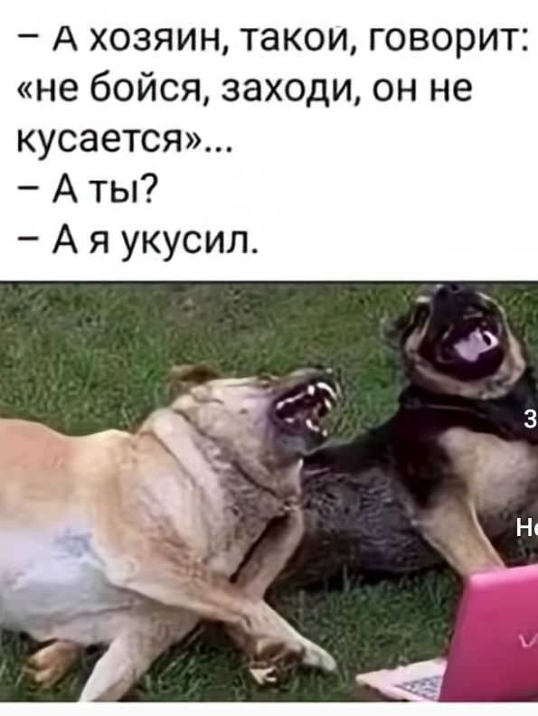 - А хозяин, такой, говорит: «не бойся, заходи, он не кусается»...
- А ты?
- А я укусил.