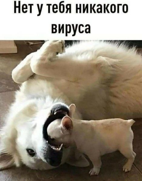 Нет у тебя никакого вируса
