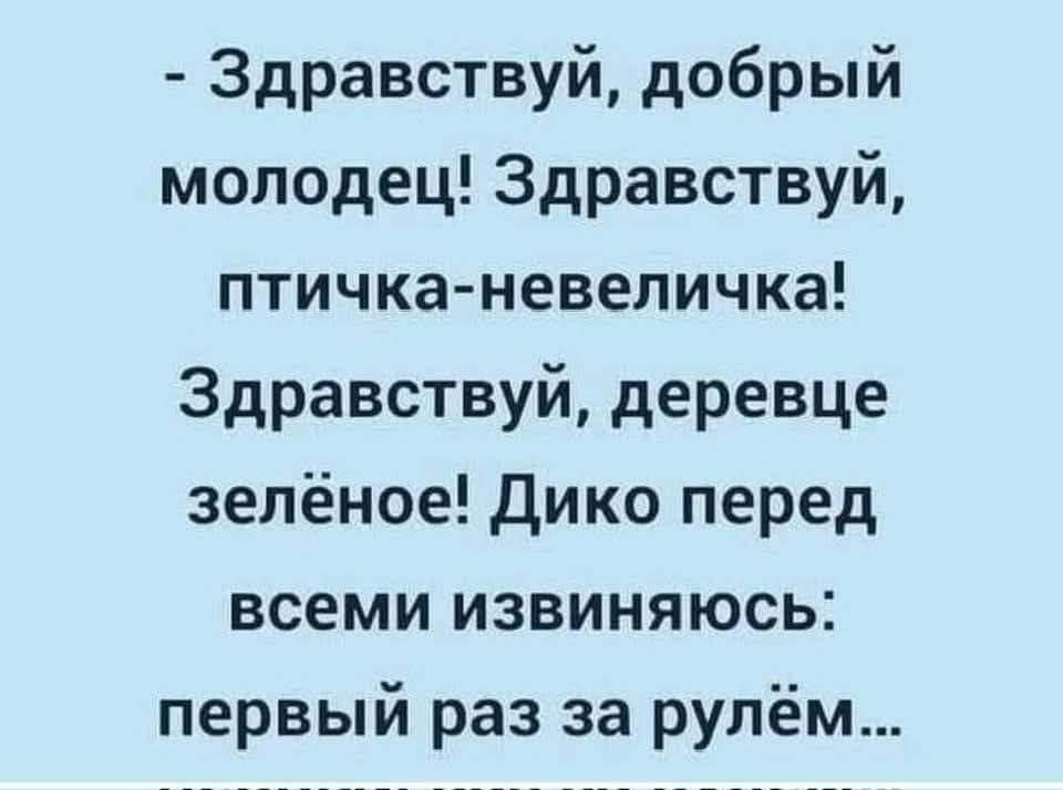 - Здравствуй, добрый молодец! Здравствуй, птичка-невеличка! Здравствуй, деревце зелёное! Дико перед всеми извиняюсь: первый раз за рулём...