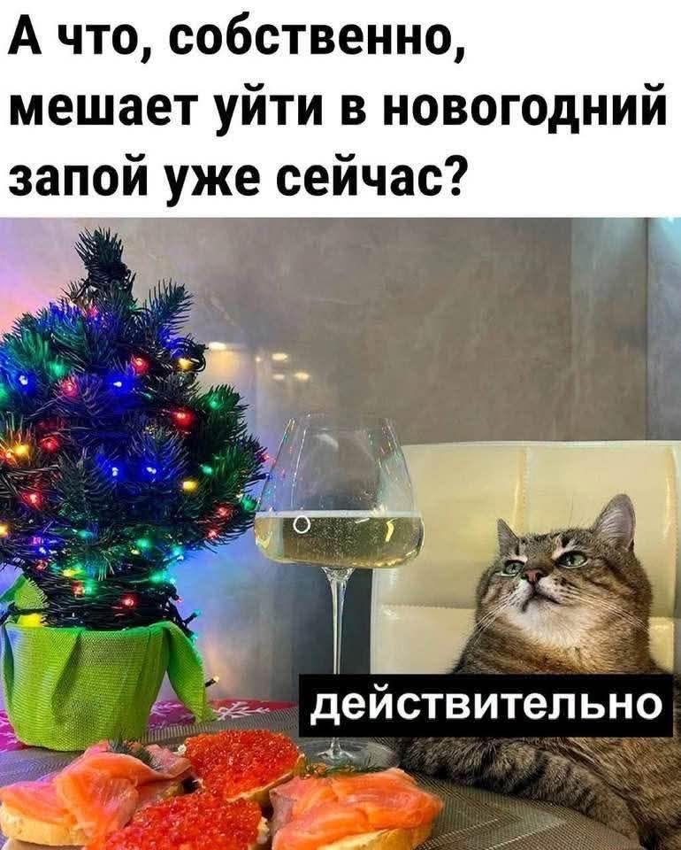 А что, собственно, мешает уйти в новогодний запой уже сейчас? действительнo