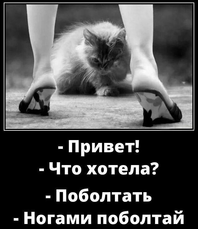 Привет!
Что хотела?
Поболтать
Ногами поболтай