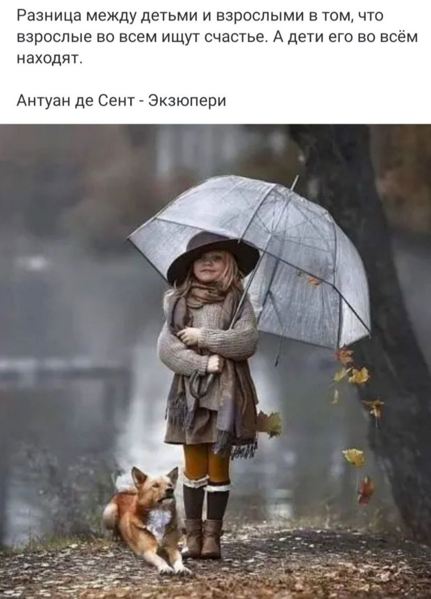 Разница между детьми и взрослыми в том, что взрослые во всем ищут счастье. А дети его во всём находят.\n\nАнтуан де Сент - Экзюпери