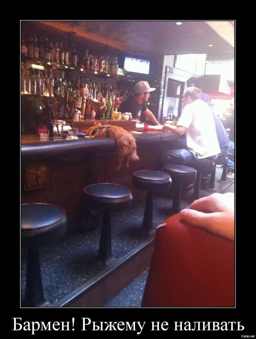 Бармен! Рыжему не наливать