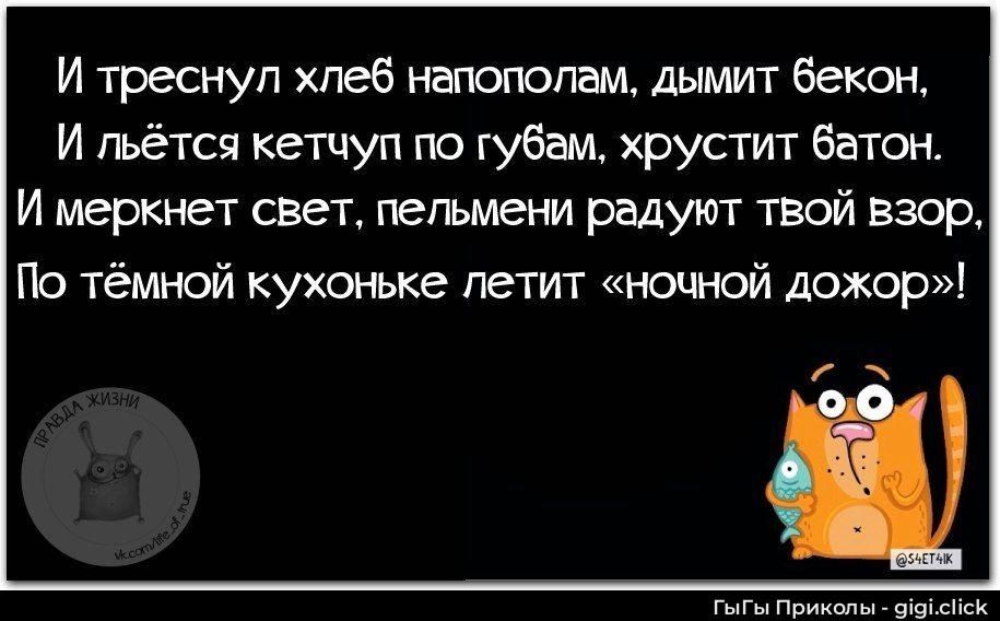 И треснул хлеб налопал, дымит бекон,\nИ льётся кетчуп по губам, хрустит батон.\nИ меркнет свет, пельмени радуют твой взор,\nПо тёмной кухоньке летит «ночной дохор»!