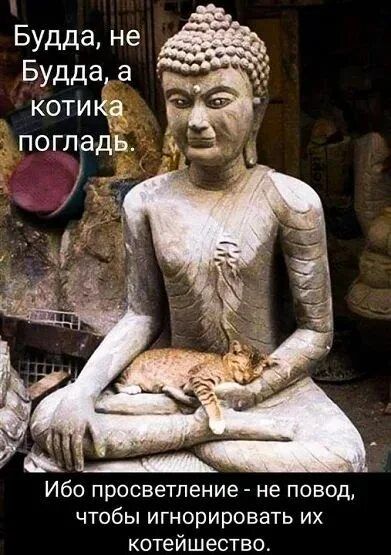 Будда, не Будда, а котика погладь. Ибо просветление - не повод, чтобы игнорировать их котейство.
