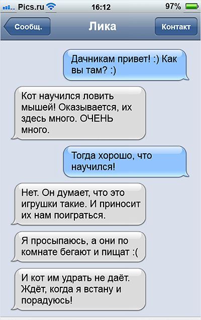 Дачникам привет! :) Как вы там? :)\nКот научился ловить мышей! Оказывается, их здесь много. ОЧЕНЬ много.\nТогда хорошо, что научился!\nНет. Он думает, что это игрушки такие. И приносит их нам поиграться.\nЯ просыпаюсь, а они по комнате бегают и пищат :(\nИ кот им ударть не даёт. Ждёт, когда я встану и порадуюсь!