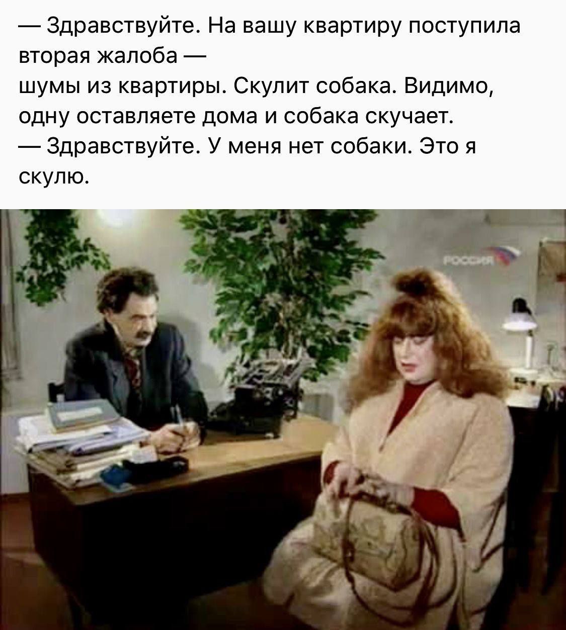 — Здравствуйте. На вашу квартиру поступила вторая жалоба — шумы из квартиры. Скулила собака. Видимо, одну оставляете дома и собака скучает. — Здравствуйте. У меня нет собаки. Это я скулил.