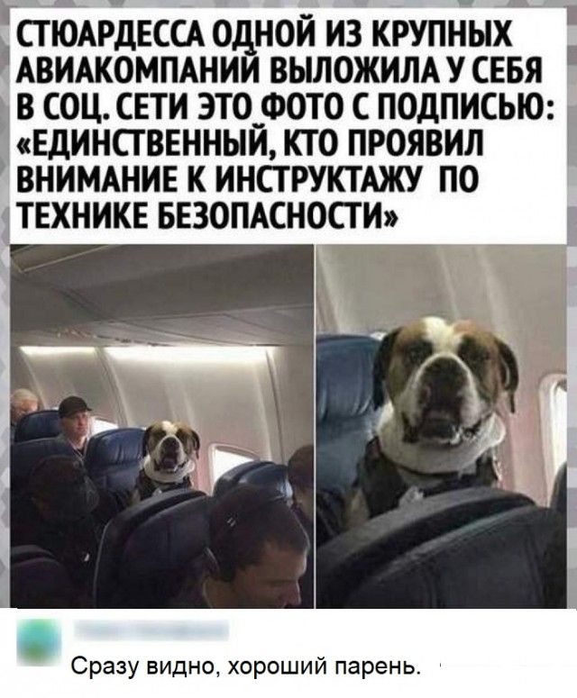 СТЮАРДЕССА ОДНОЙ ИЗ КРУПНЫХ АВИАКОМПАНИЙ ВЫЛОЖИЛА У СЕБЯ В СОЦ. СЕТИ ЭТО ФОТО С ПОДПИСЬЮ: «ЕДИНСТВЕННЫЙ, КТО ПРОЯВИЛ ВНИМАНИЕ К ИНСТРУКТАЖУ ПО ТЕХНИКЕ БЕЗОПАСНОСТИ» Сразу видно, хороший парень.